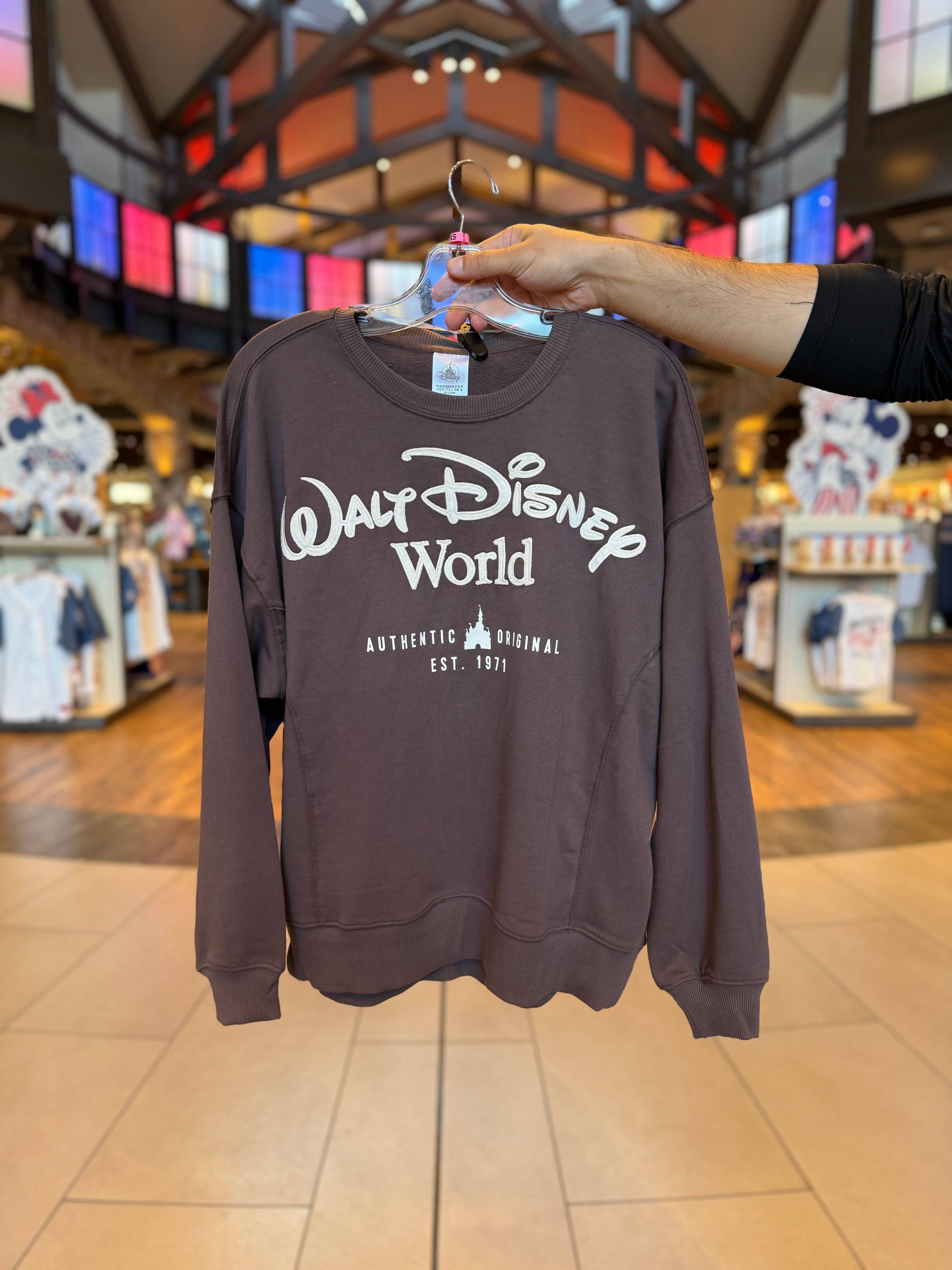 Walt Disney World Brown Pullover – Neverland Delivery