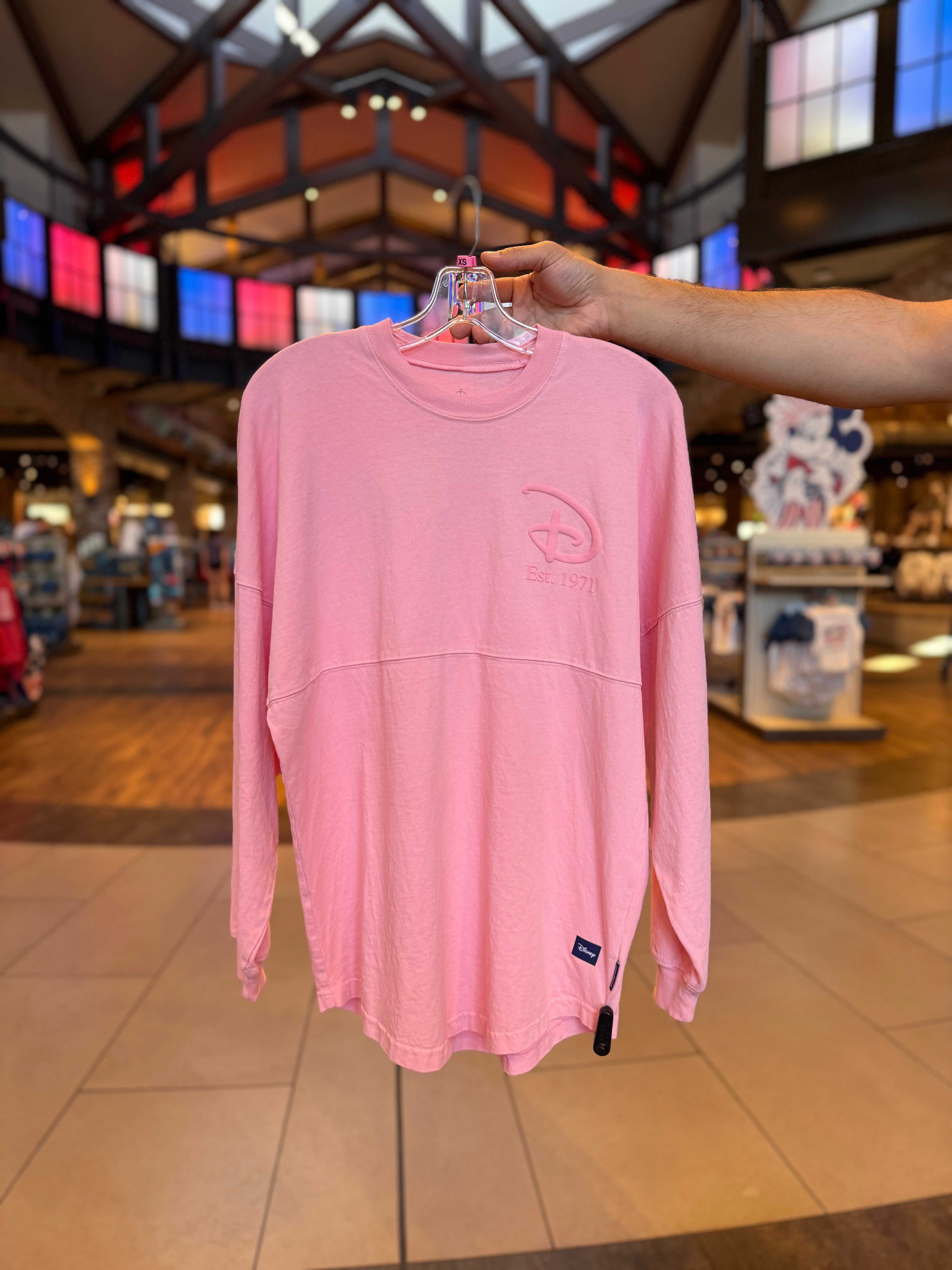 Walt Disney World Pink Spirit Jersey – Neverland Delivery