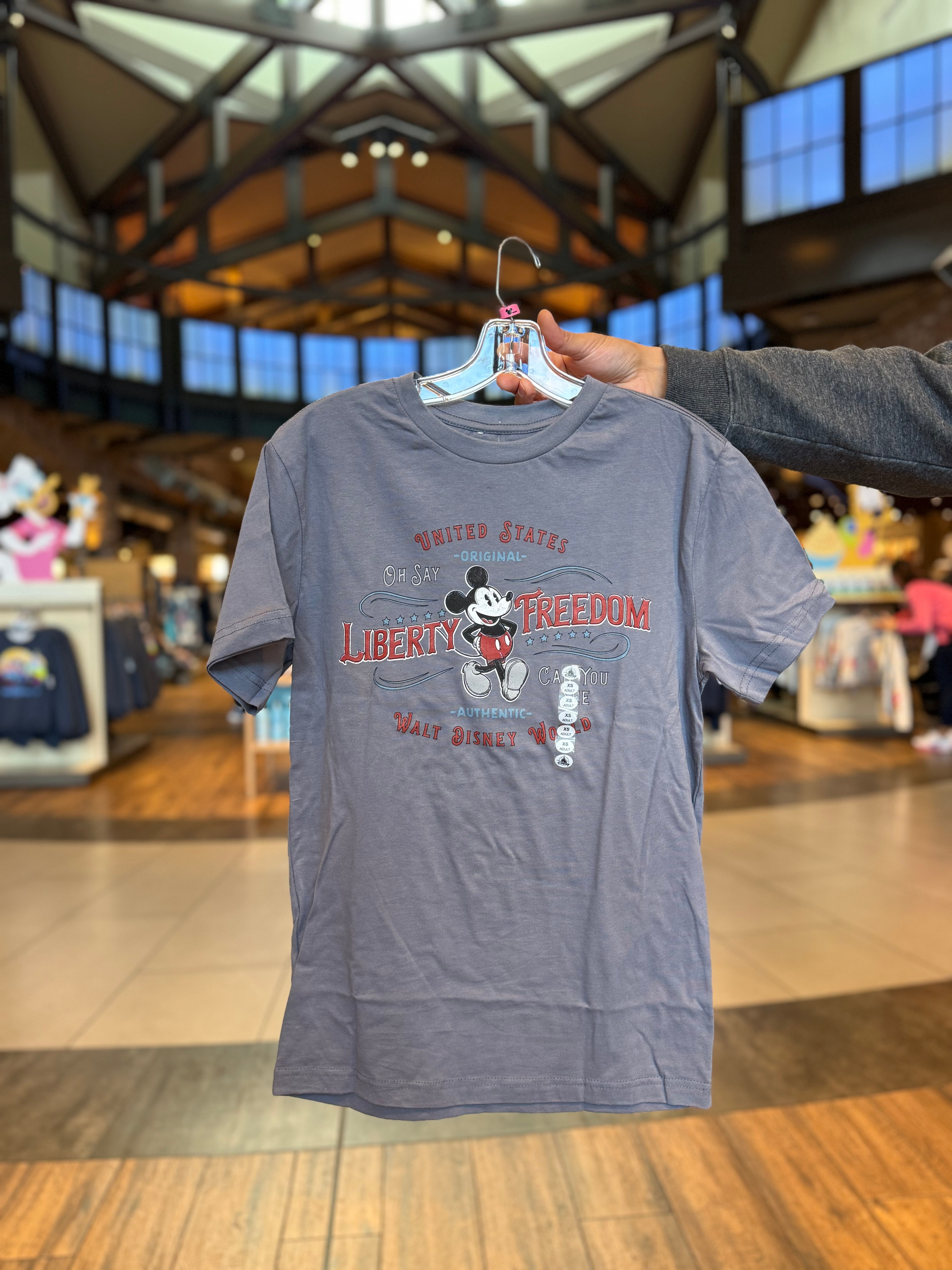 Liberty Freedom Grey Tee – Neverland Delivery