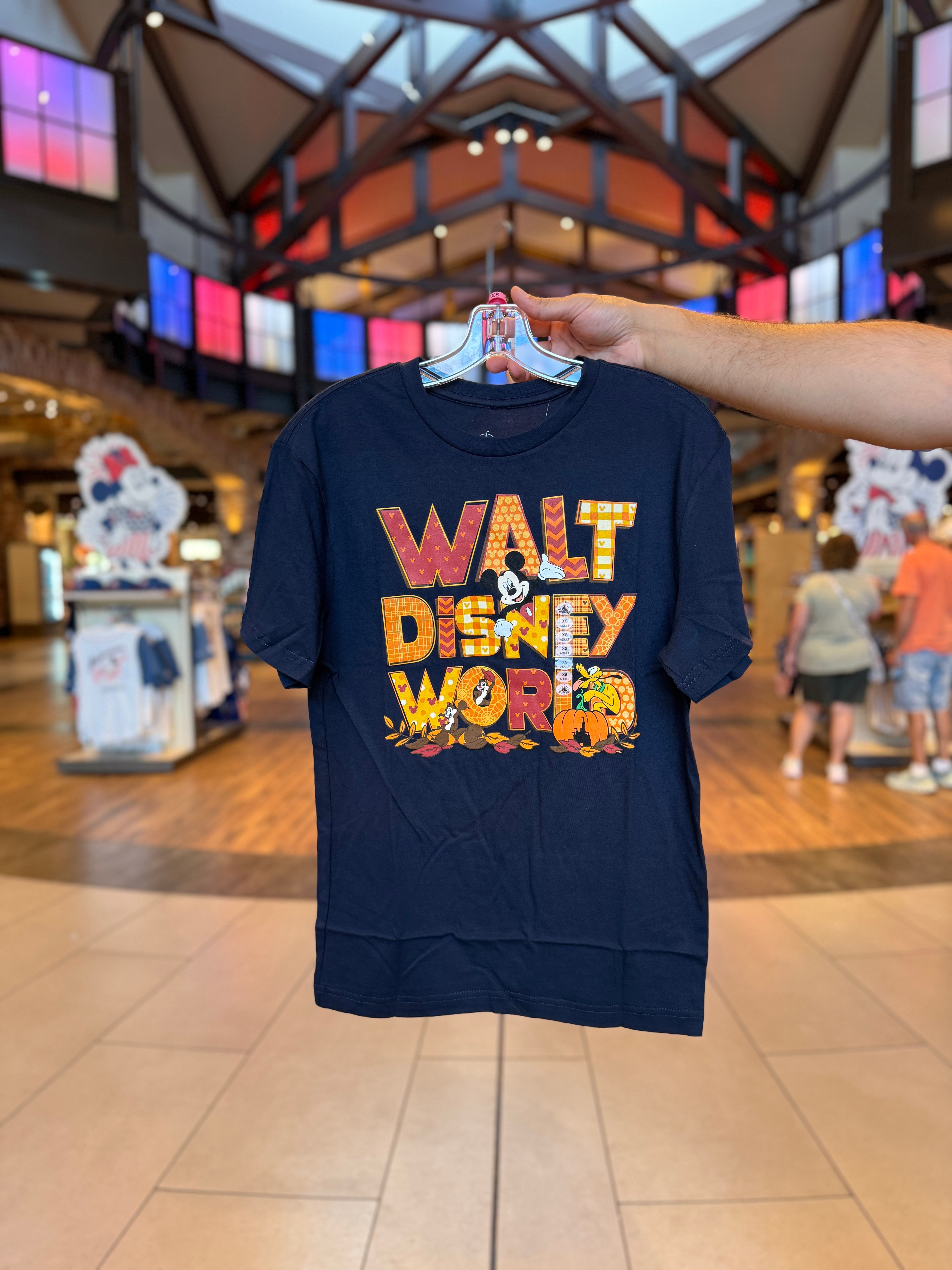 Walt Disney World Tシャツ ネイビー Mサイズ　00年中盤 Walt Disney World Fall Navy Tee – Neverland Delivery