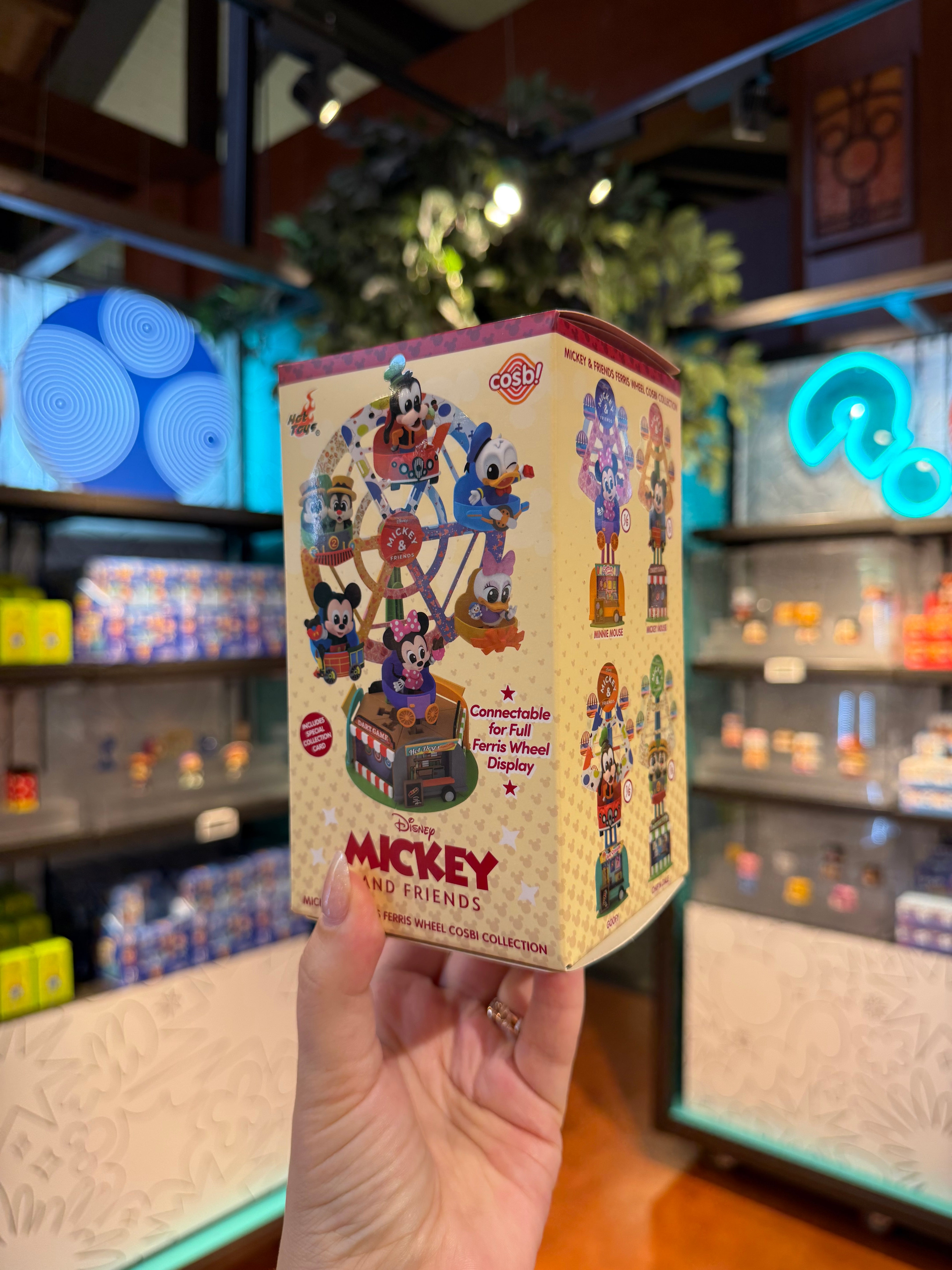 Mickey and Friends Ferris Wheel Mystery Box – Neverland Delivery