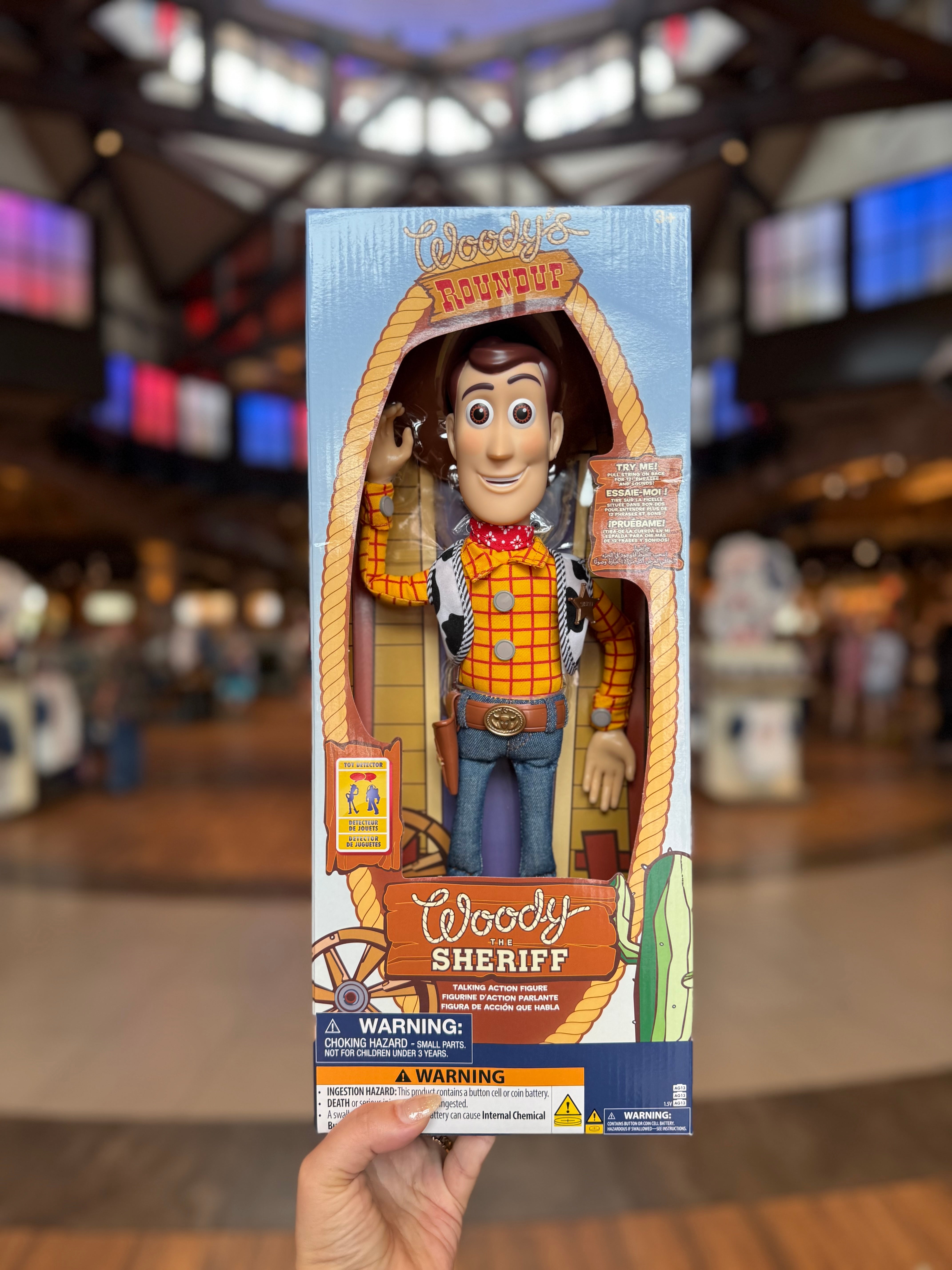 Woody Talking Action Figure – Neverland Delivery