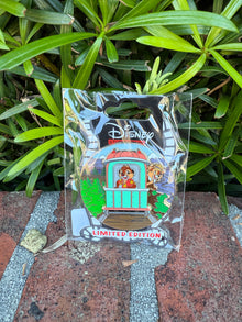  D23 Cross Country #21 Chip and Dale pin
