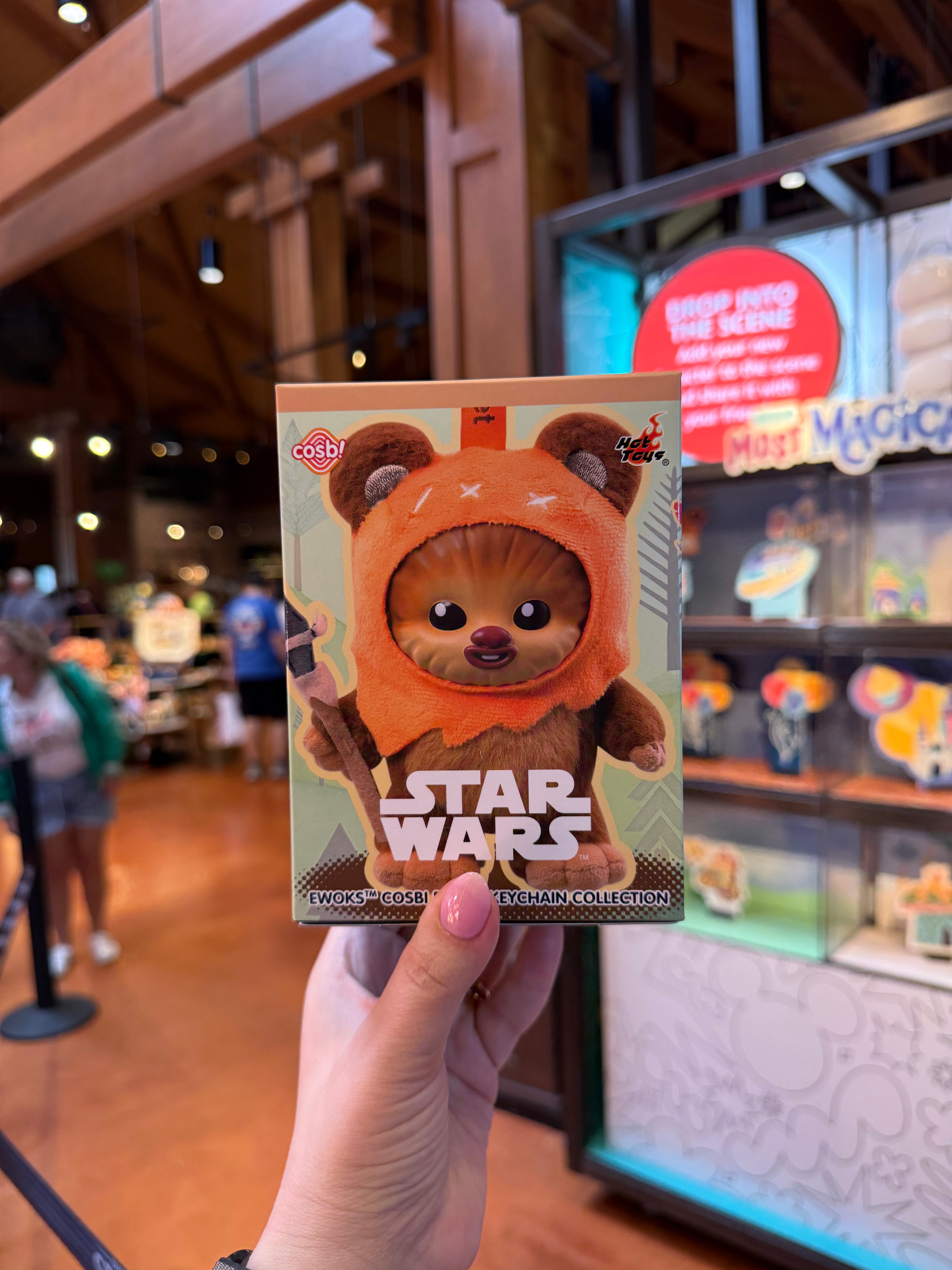 Star Wars Ewok Keychain Mystery Box – Neverland Delivery