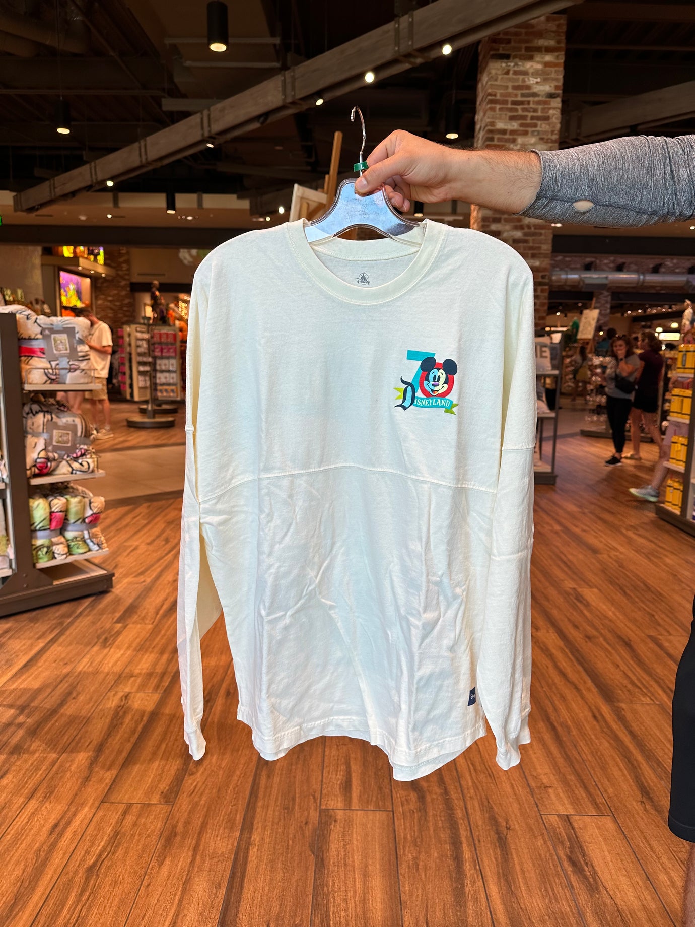 D23 Disneyland 70th Anniversary Spirit Jersey – Neverland