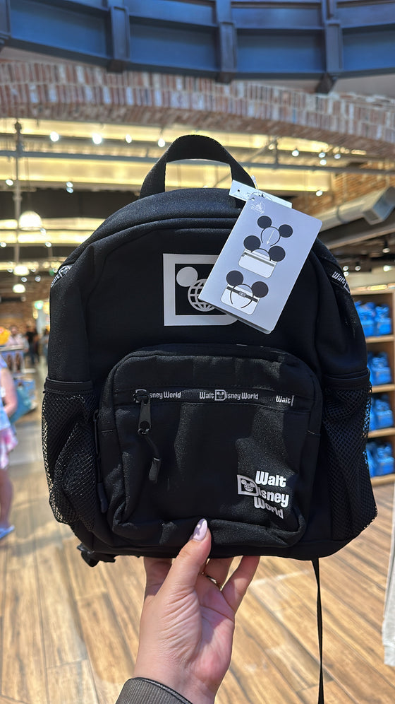 Walt disney world backpack sale