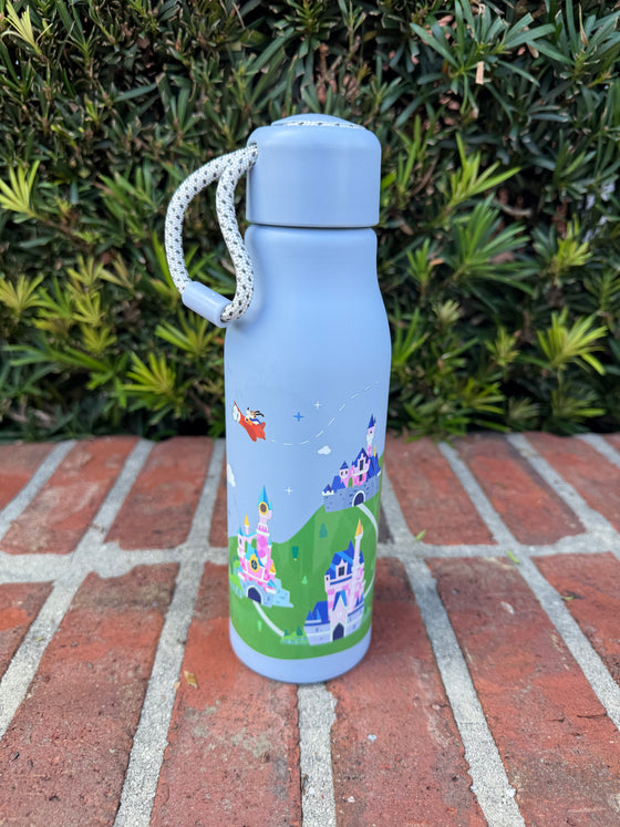 Destination D23 Disney Castles Water Bottle