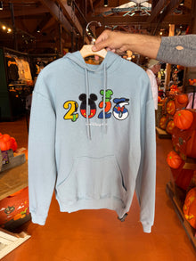  2026 Walt Disney World Hoodie