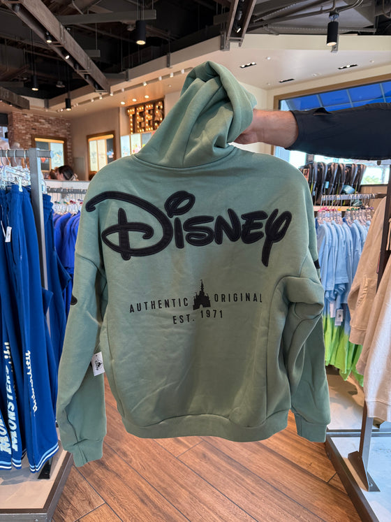 Walt Disney World Sage Zip Up Hoodie