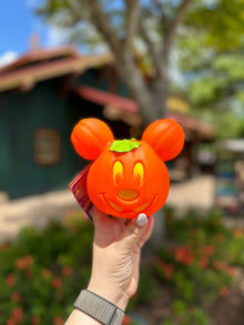  Mickey Mini Light Up Pumpkin