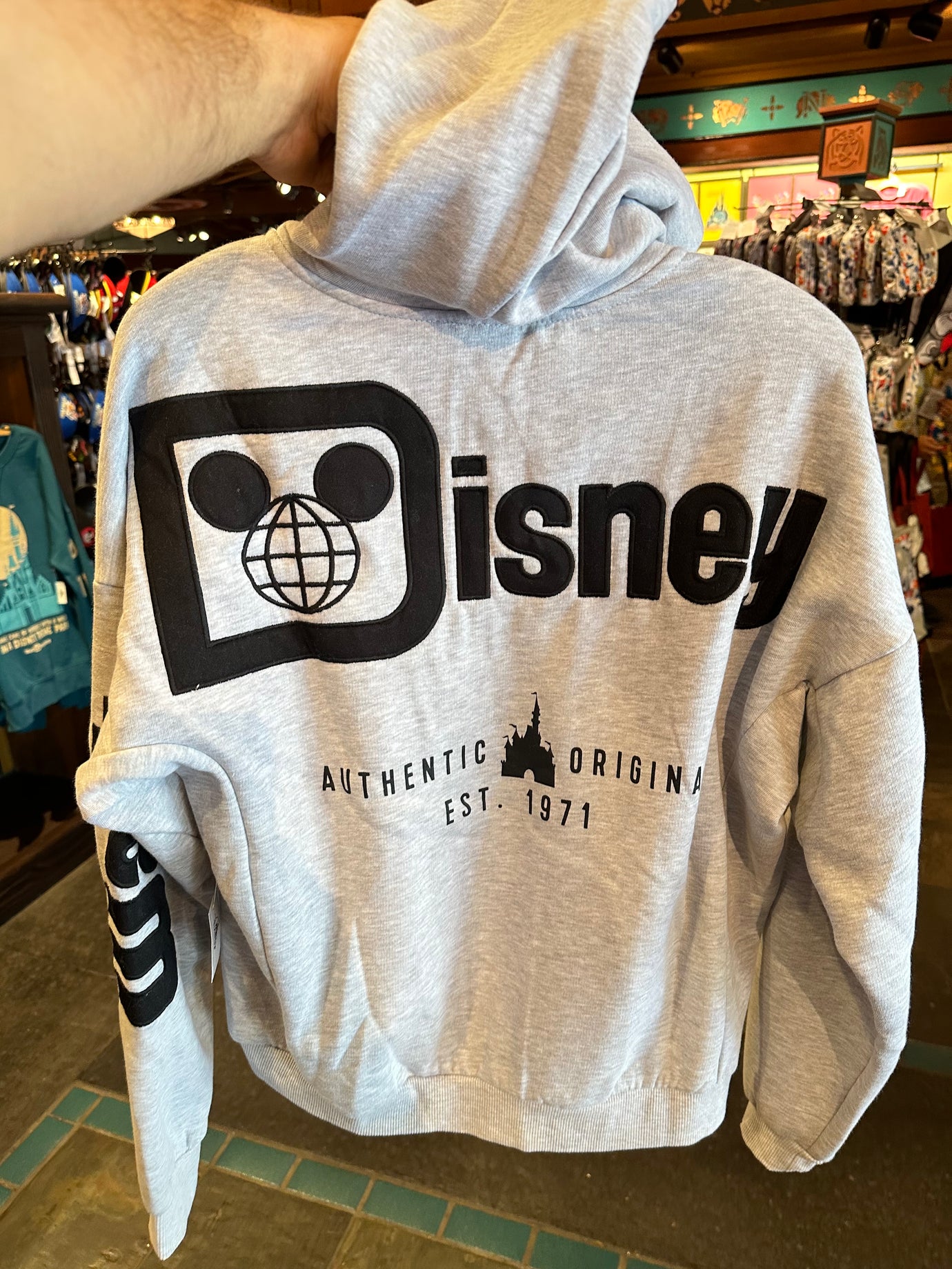 Grey Walt Disney World Zip Up Hoodie Neverland Delivery