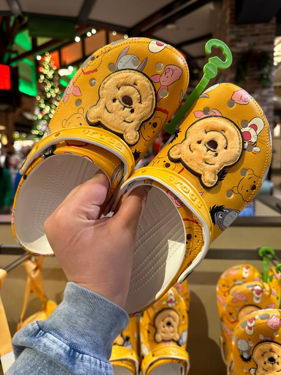 Winnie the Pooh Crocs