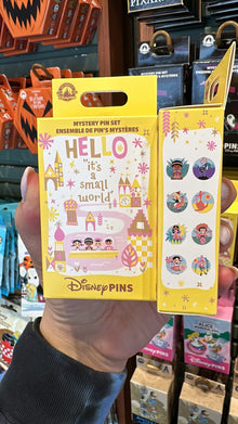  It’s a Small World Mystery Pin