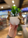 Chip and Dale Succulent